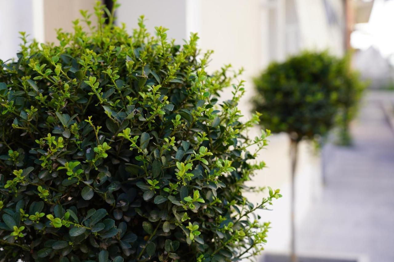 4Rooms B&B - Holiday Home Lamezia Terme Exterior photo